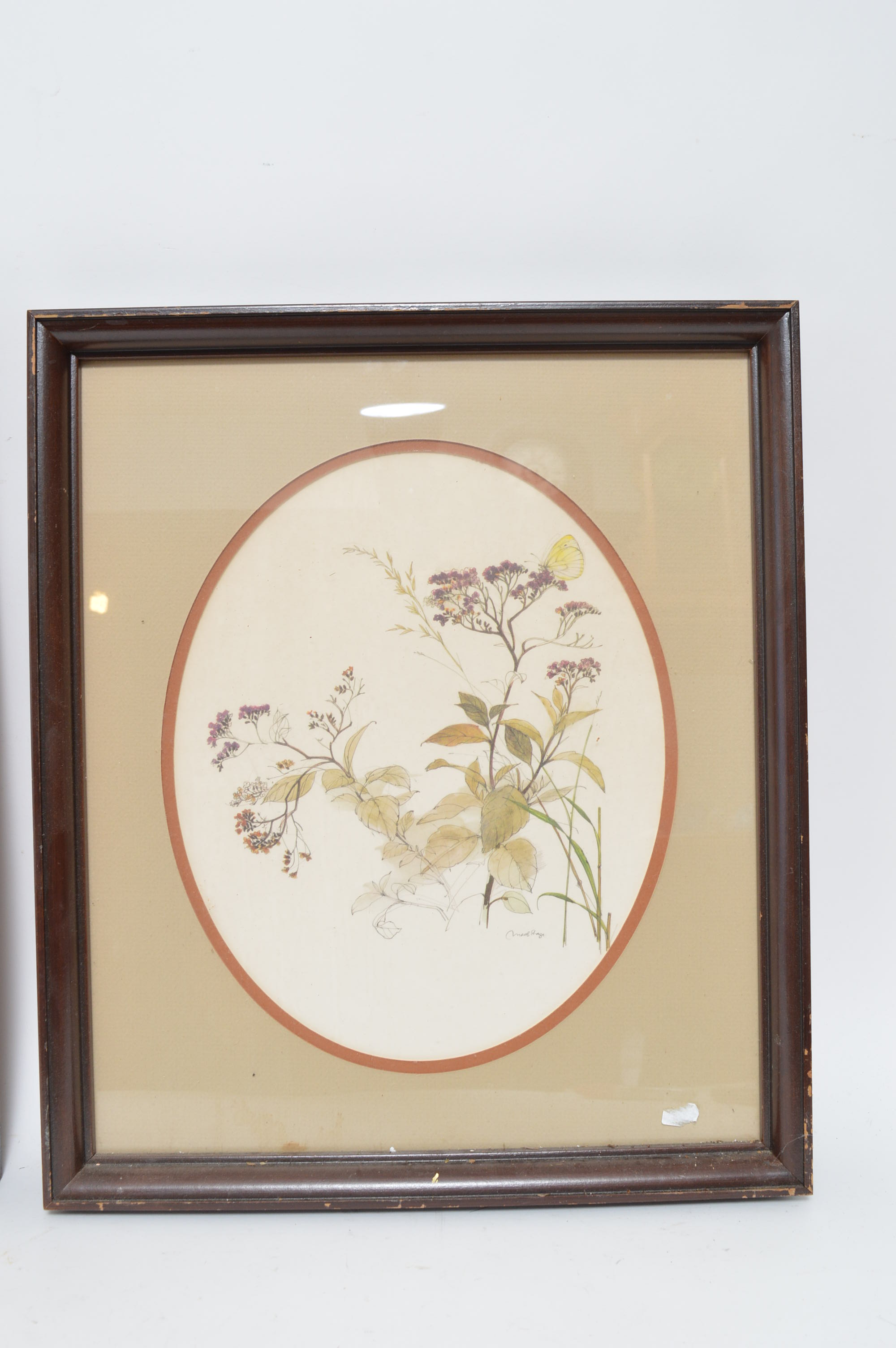 Pair of Offset Lithographs of Wildflowers