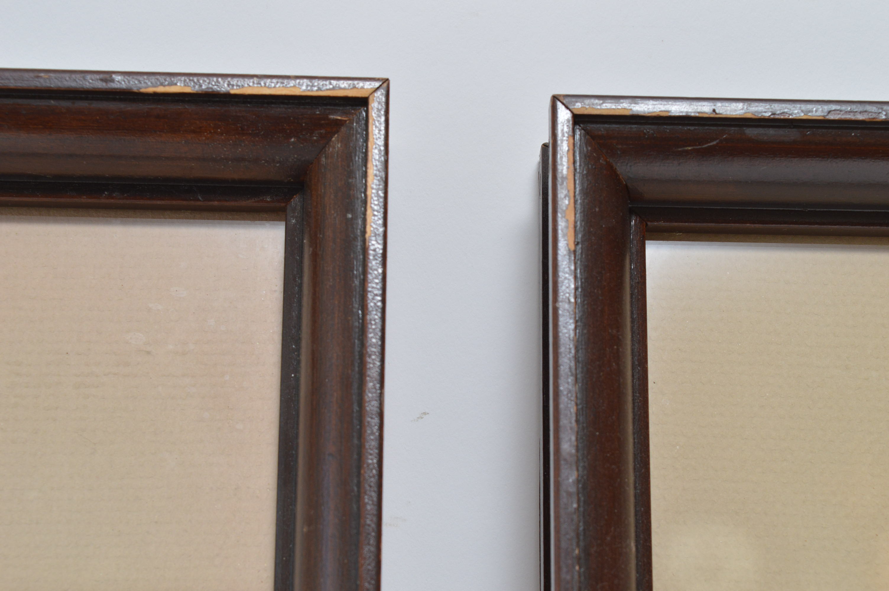 Pair of Offset Lithographs of Wildflowers