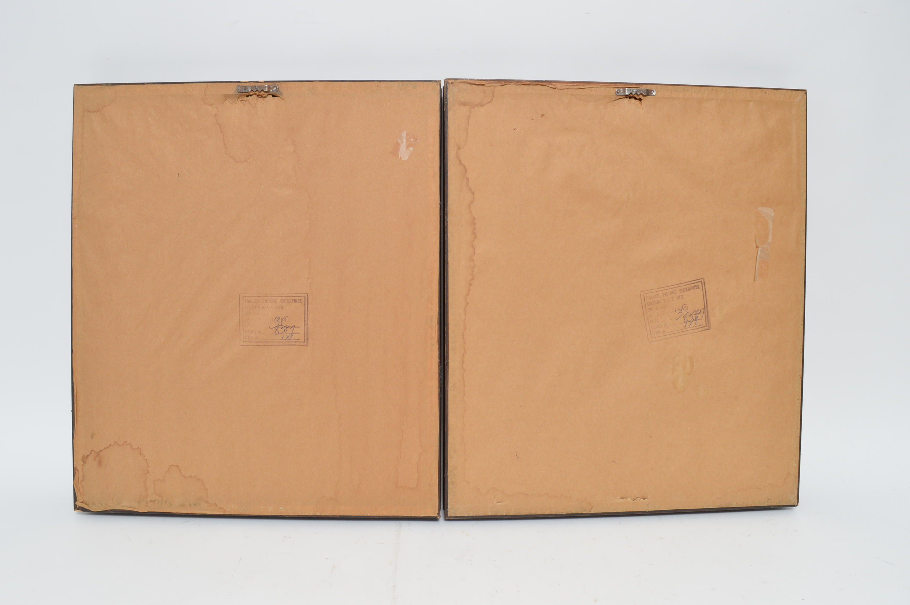 Pair of Offset Lithographs of Wildflowers