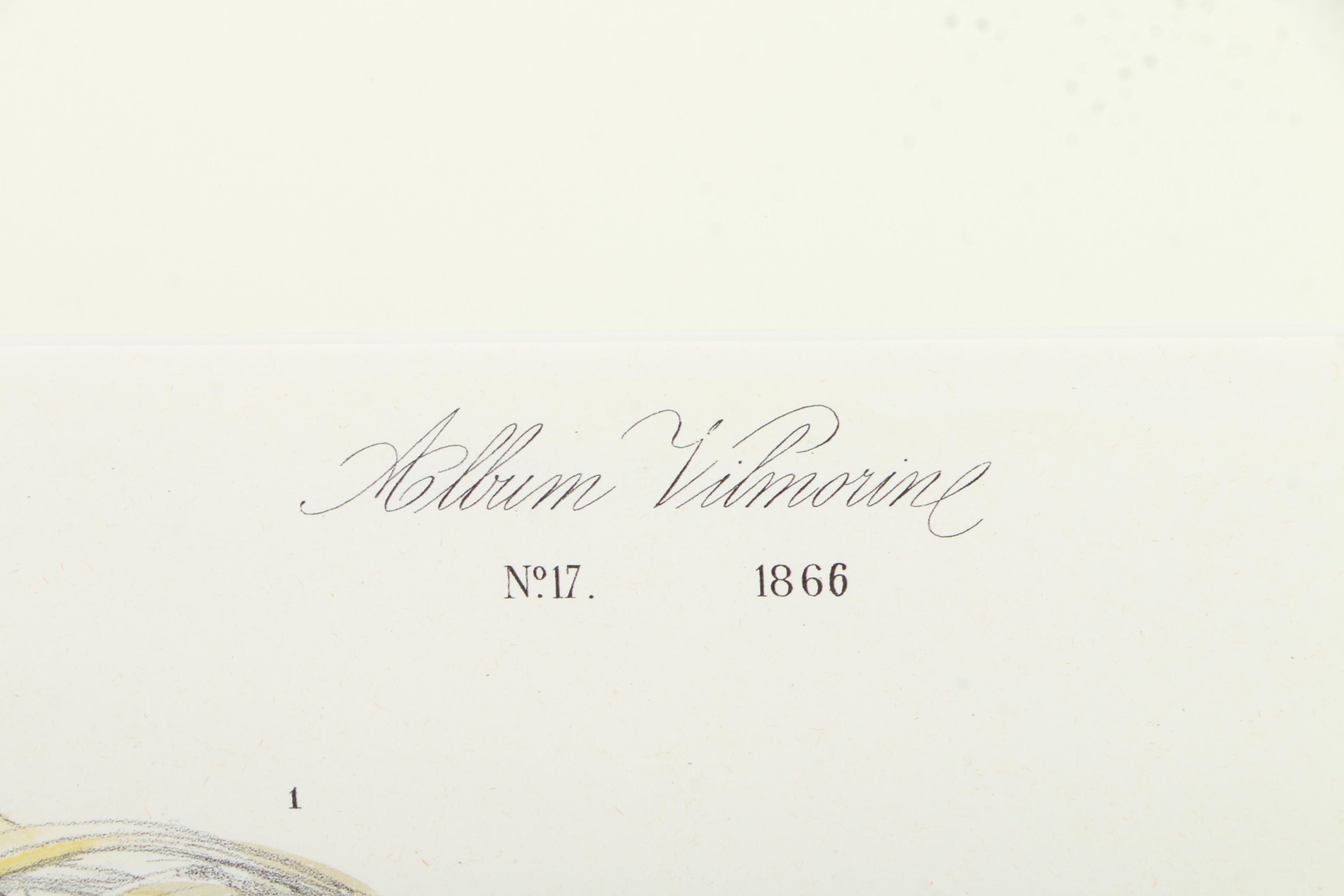 Offset Lithographs After Engravings of Produce from "Album Vilmorin"