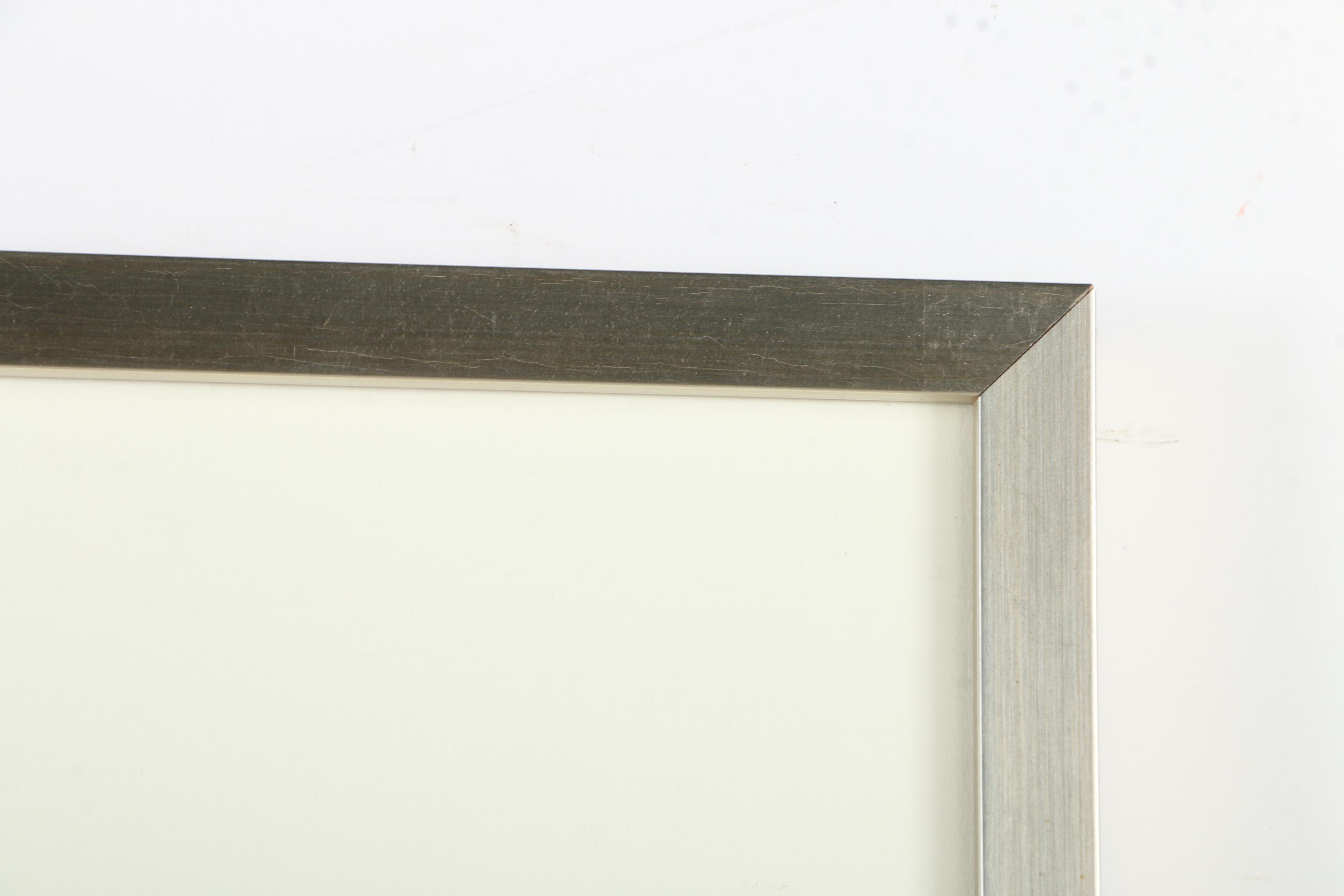 Offset Lithographs After Engravings of Produce from "Album Vilmorin"