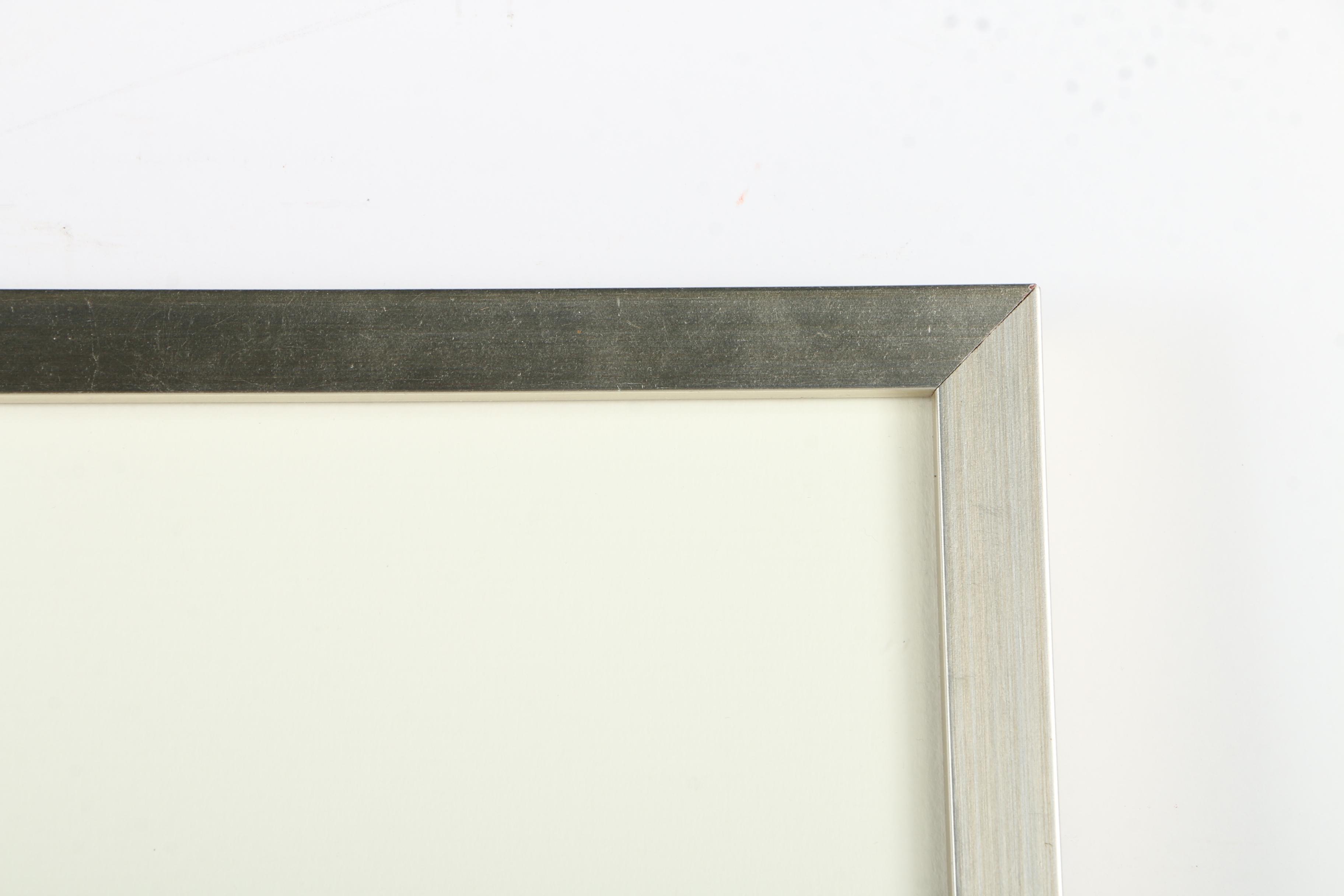 Offset Lithographs After Engravings of Produce from "Album Vilmorin"