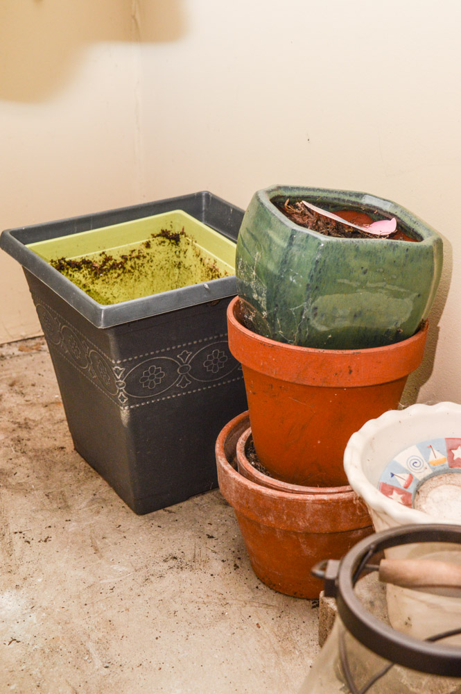 Gardening and Recreation Assortment