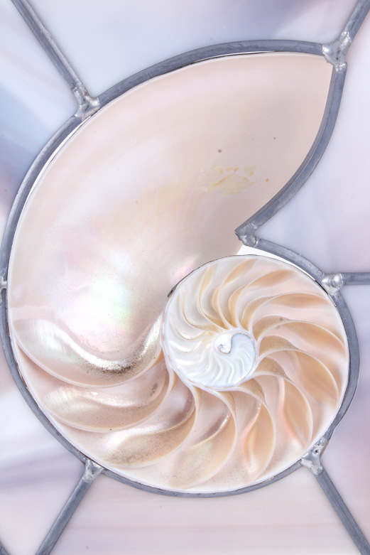 Stained Glass Sun Catcher with Seashell