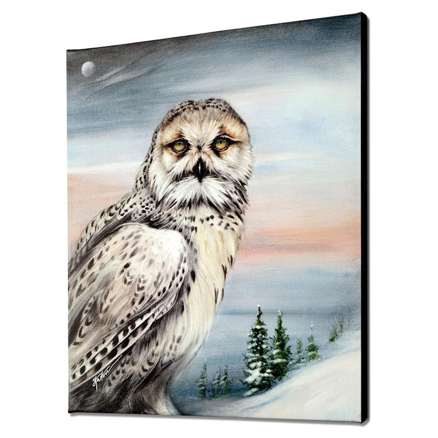 Martin Katon "Snow Owl in Alaska" Giclée on Canvas