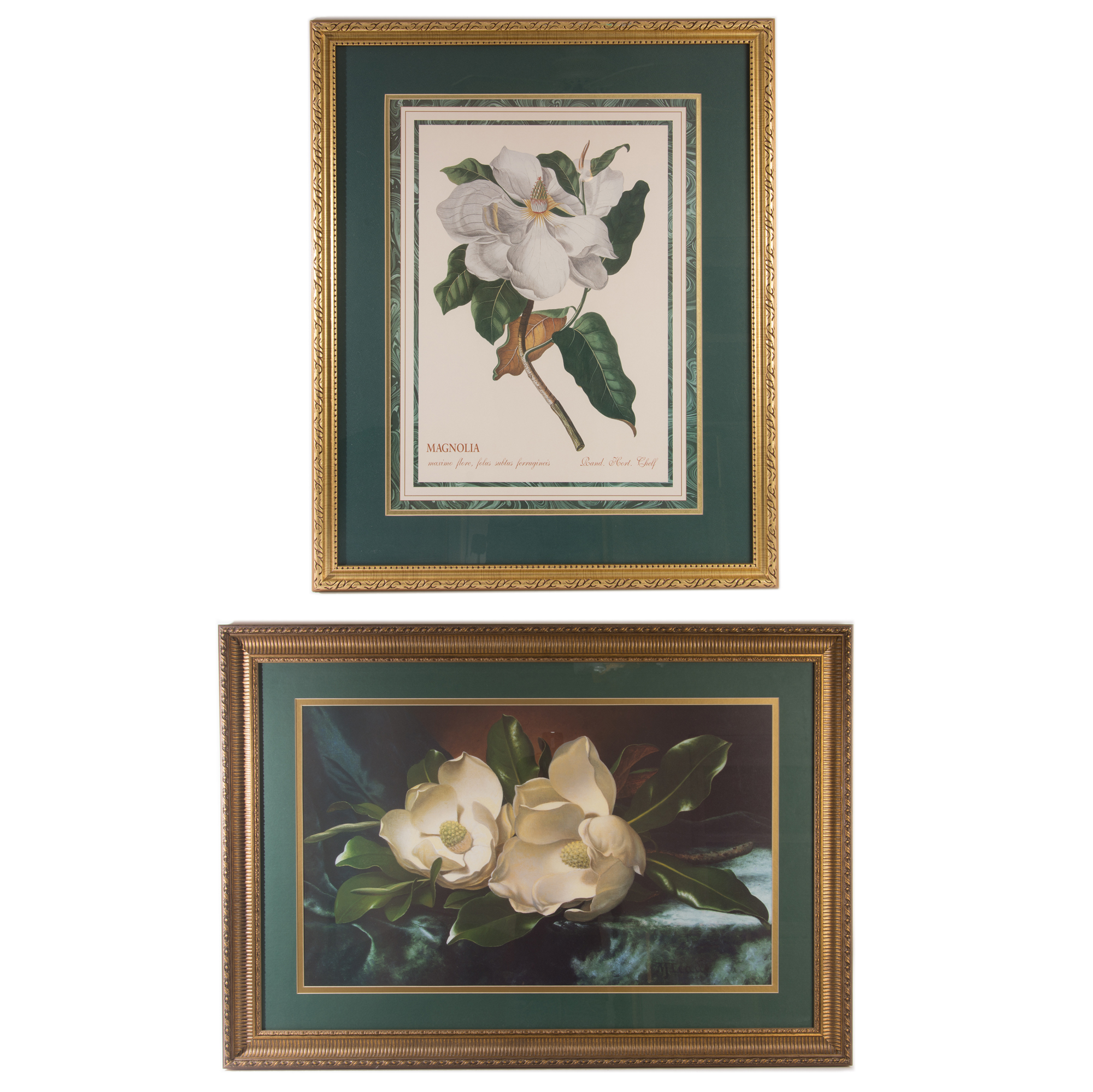 Framed Offset Lithographs Depicting Magnolias