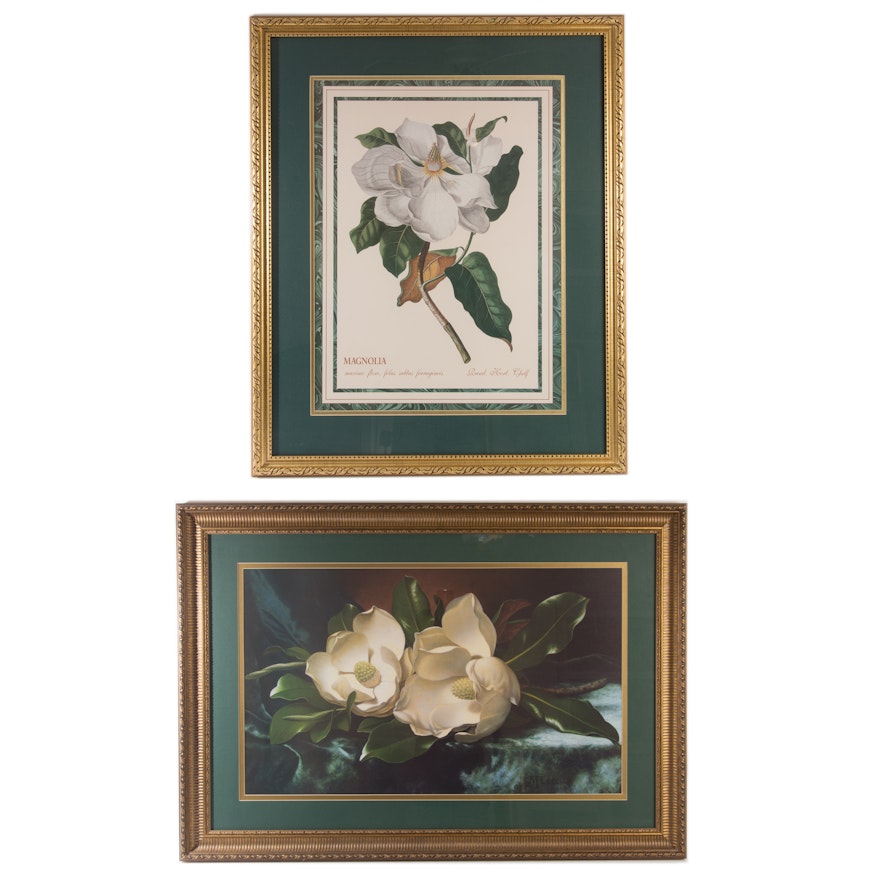 Framed Offset Lithographs Depicting Magnolias