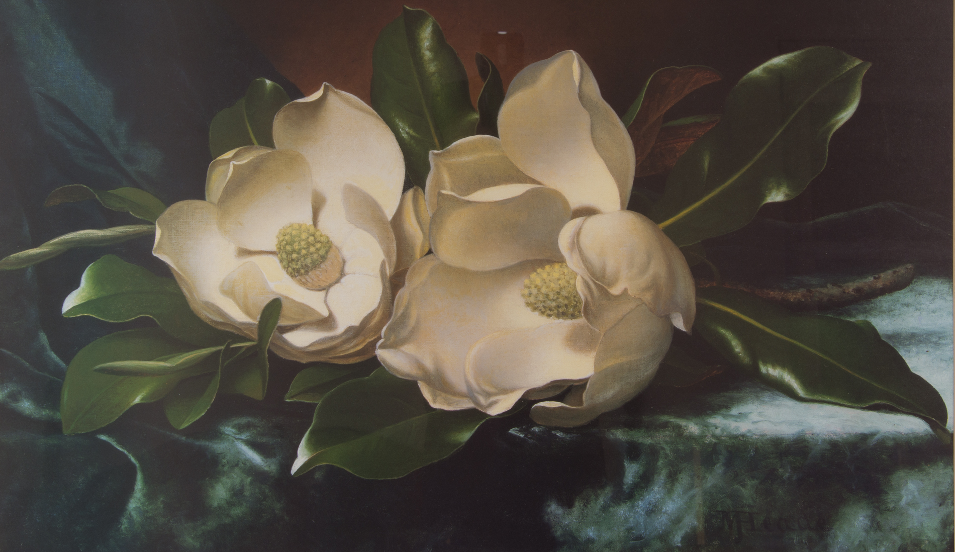 Framed Offset Lithographs Depicting Magnolias
