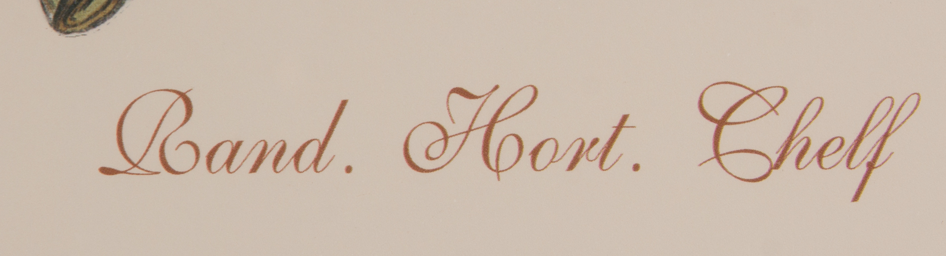 Framed Offset Lithographs Depicting Magnolias