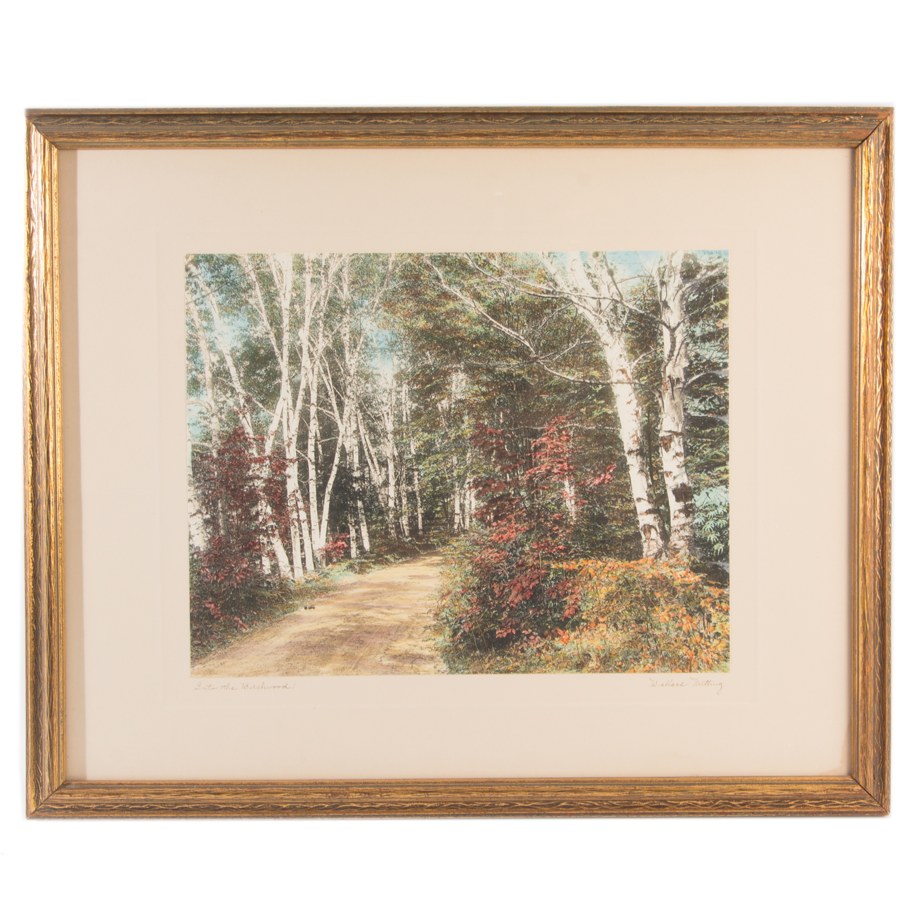 Wallace Nutting Hand Tinted Photogravure "Into the Birchwood!"