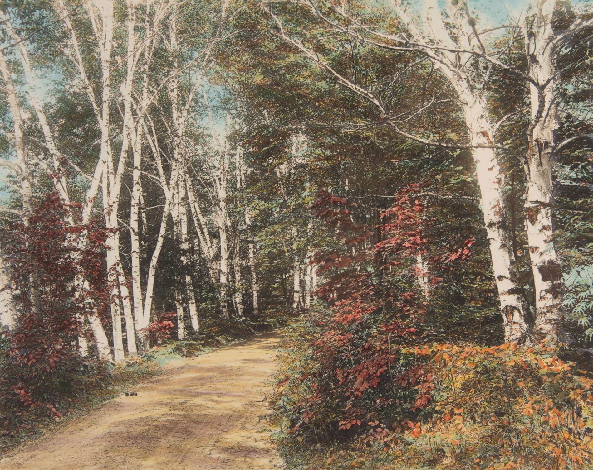 Wallace Nutting Hand Tinted Photogravure "Into the Birchwood!"