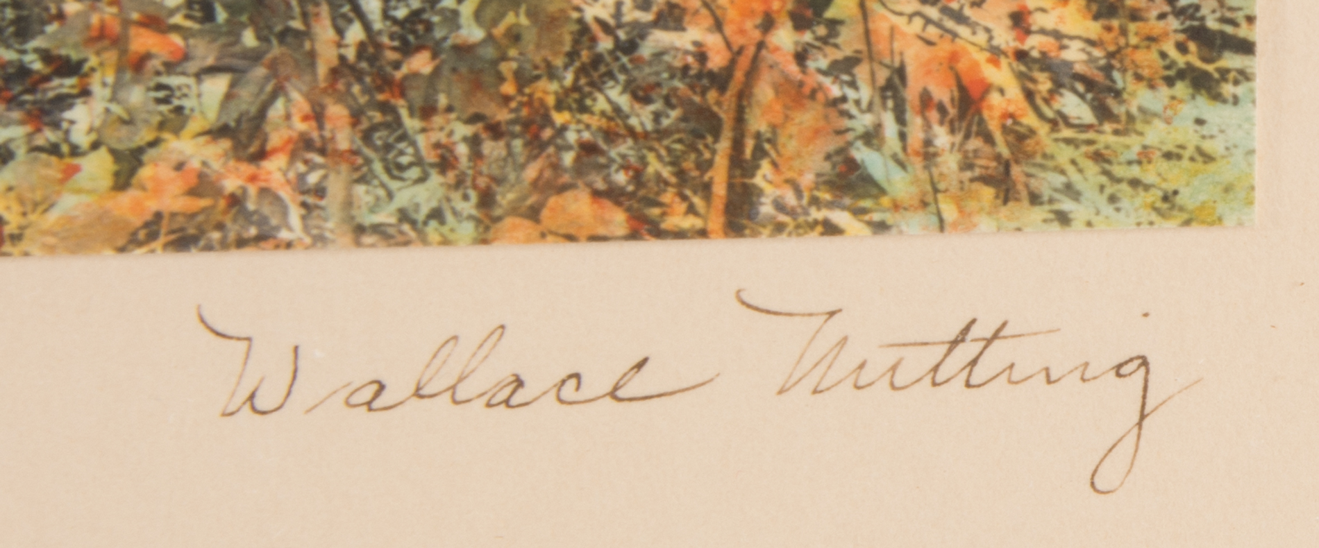 Wallace Nutting Hand Tinted Photogravure "Into the Birchwood!"