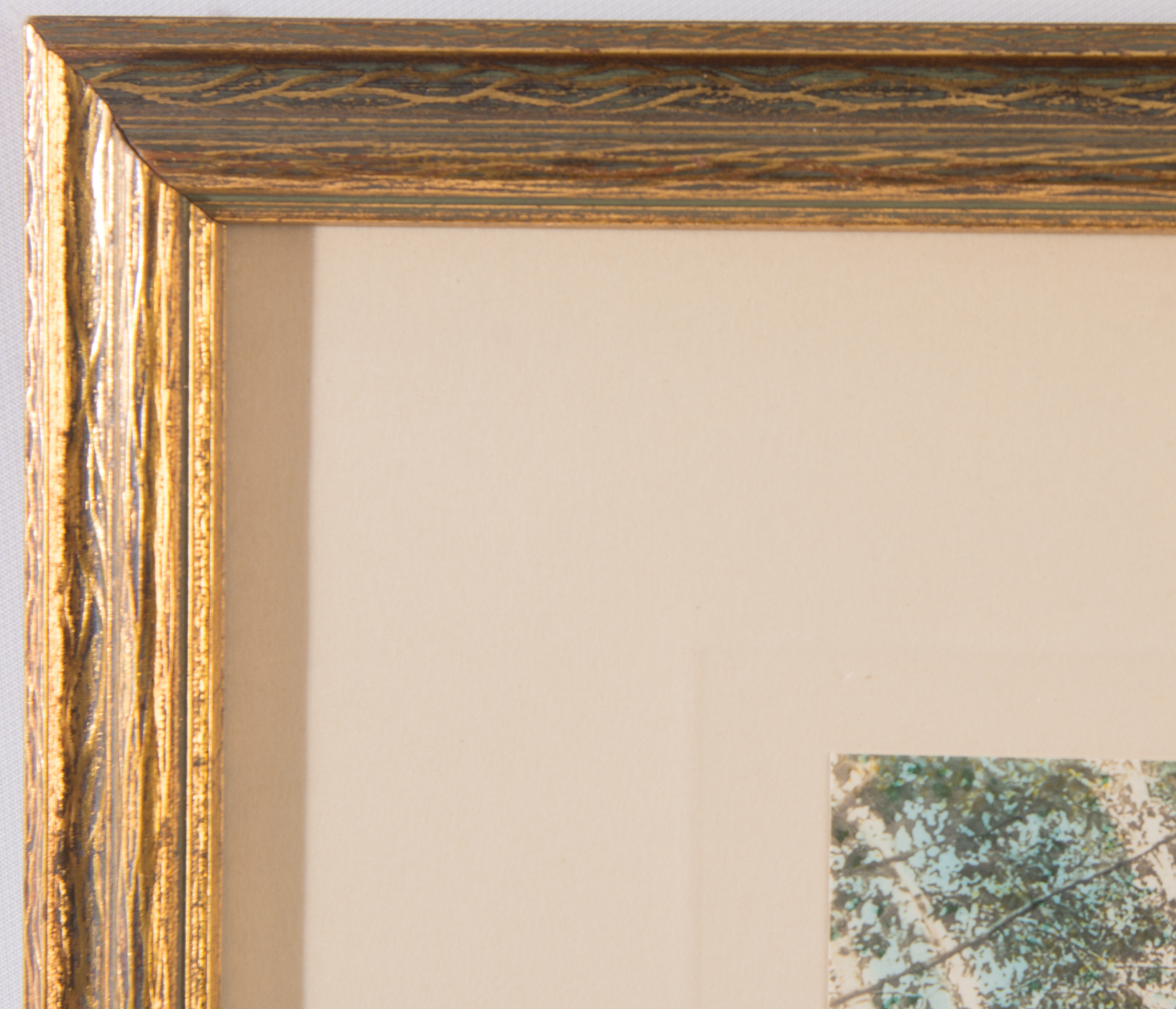 Wallace Nutting Hand Tinted Photogravure "Into the Birchwood!"