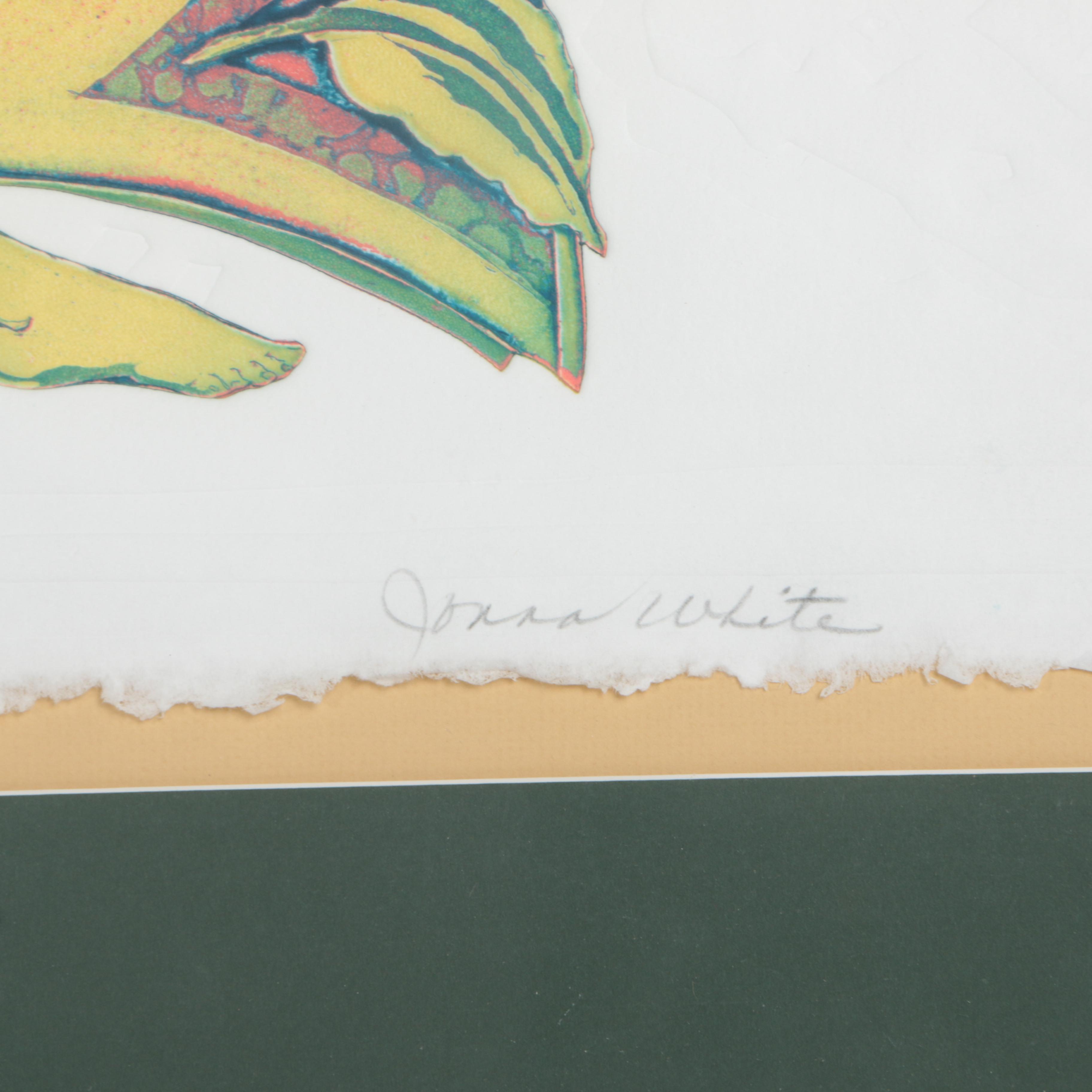 Jonna White Color Intaglio "Midas Touch III"