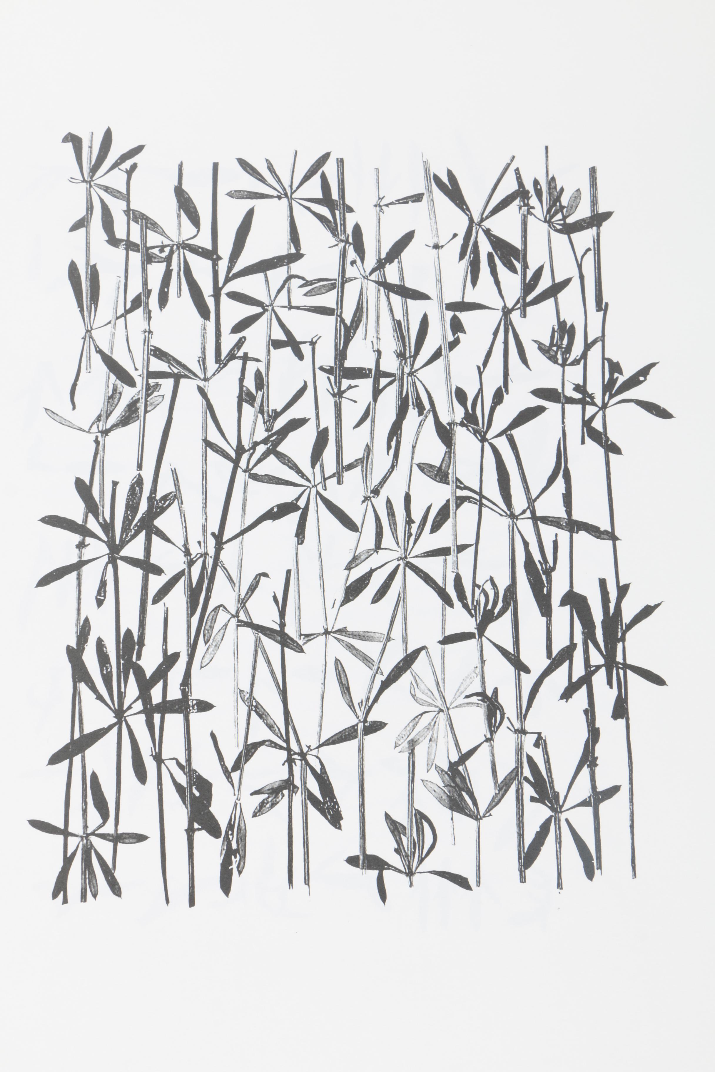 Marian Bijlenga Limited Edition Books "Written Weed", With Assortment of Printed Gallery Materials