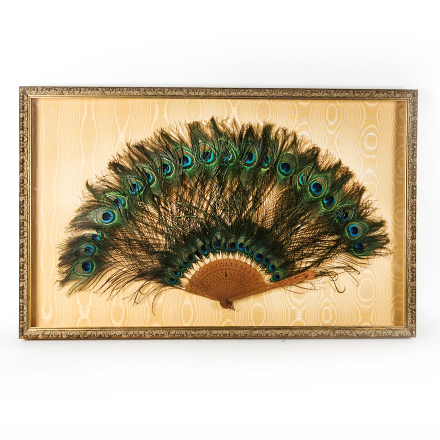 Framed Peacock Feather Fan