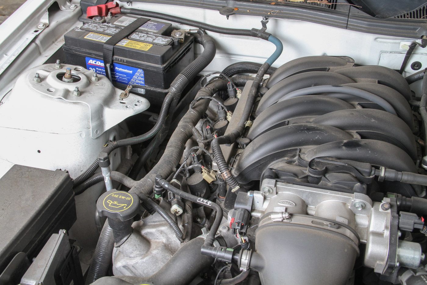 2005 Ford GT Mustang