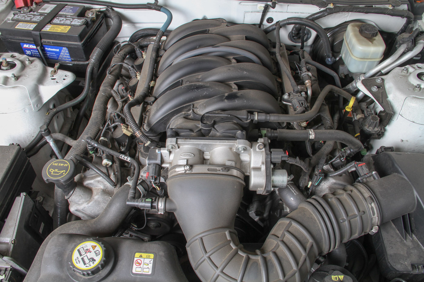 2005 Ford GT Mustang