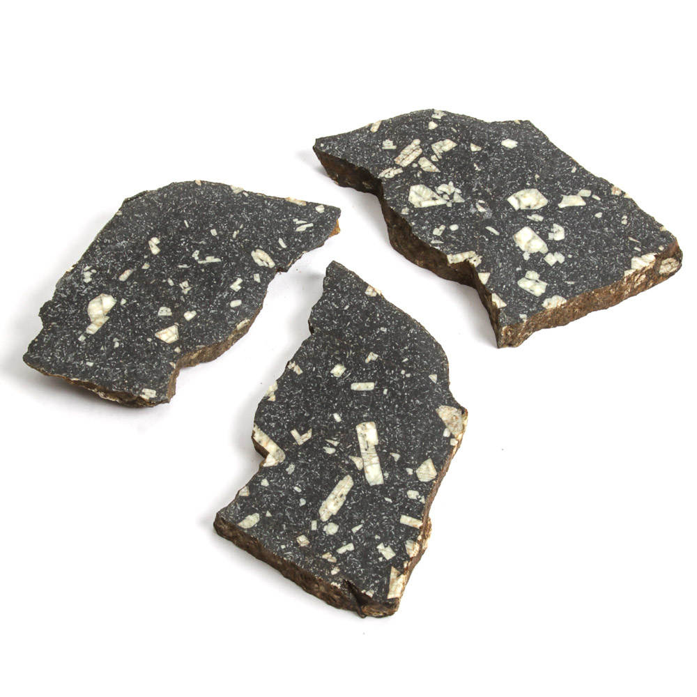 Porphyritic Basalt Samples