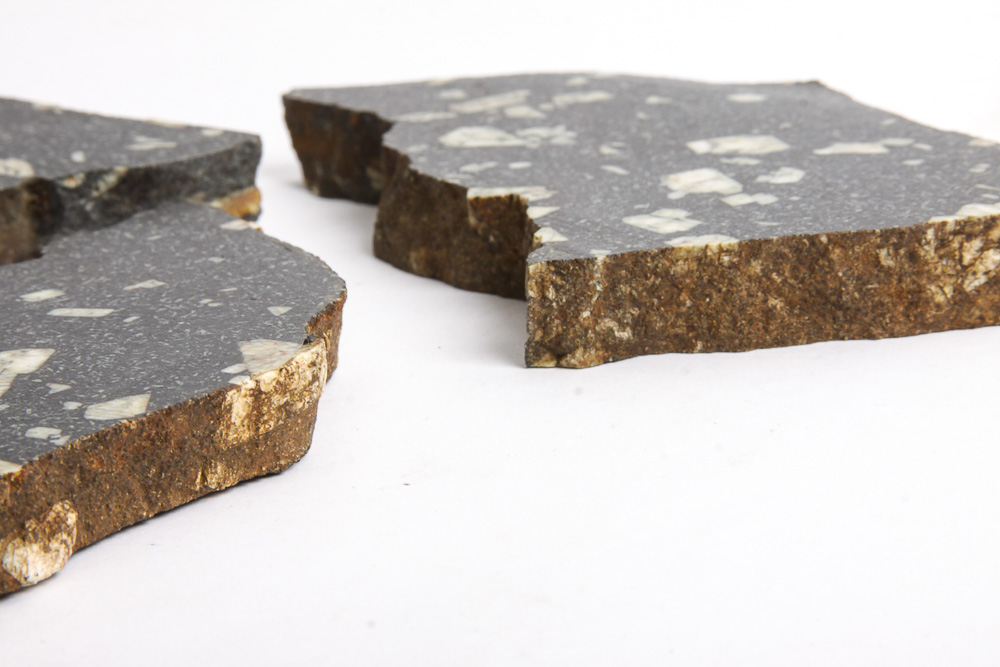 Porphyritic Basalt Samples
