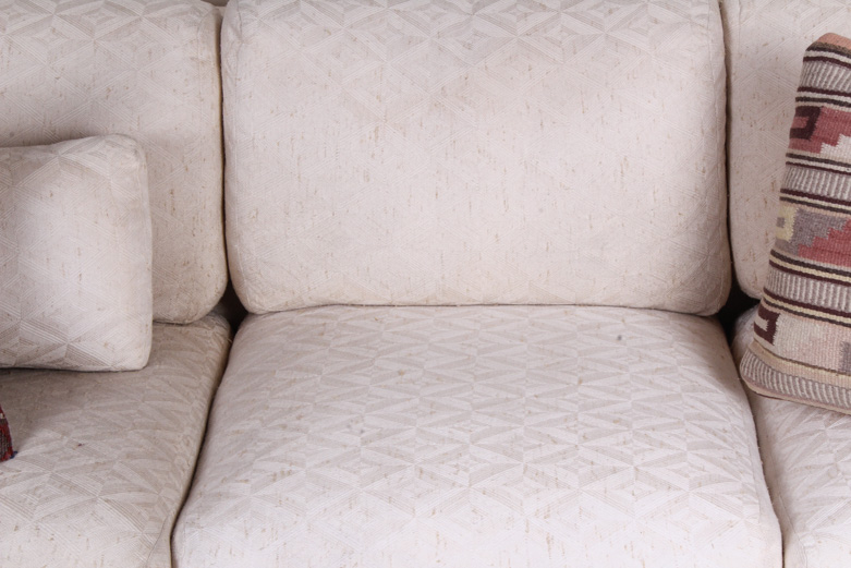 Modern Sofa with Teak Wood Platform