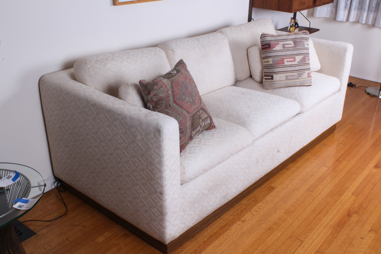 Modern Sofa with Teak Wood Platform