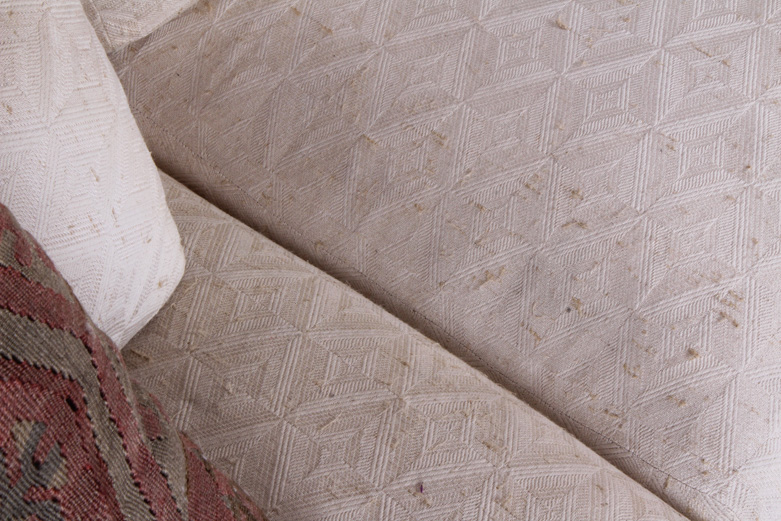 Modern Sofa with Teak Wood Platform