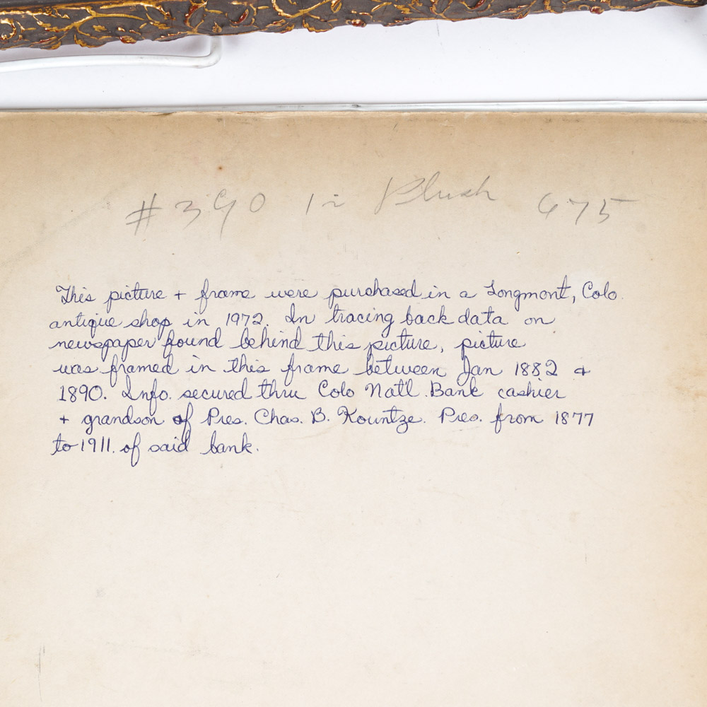 Selection of Antique Sepia Tone Family Portraits