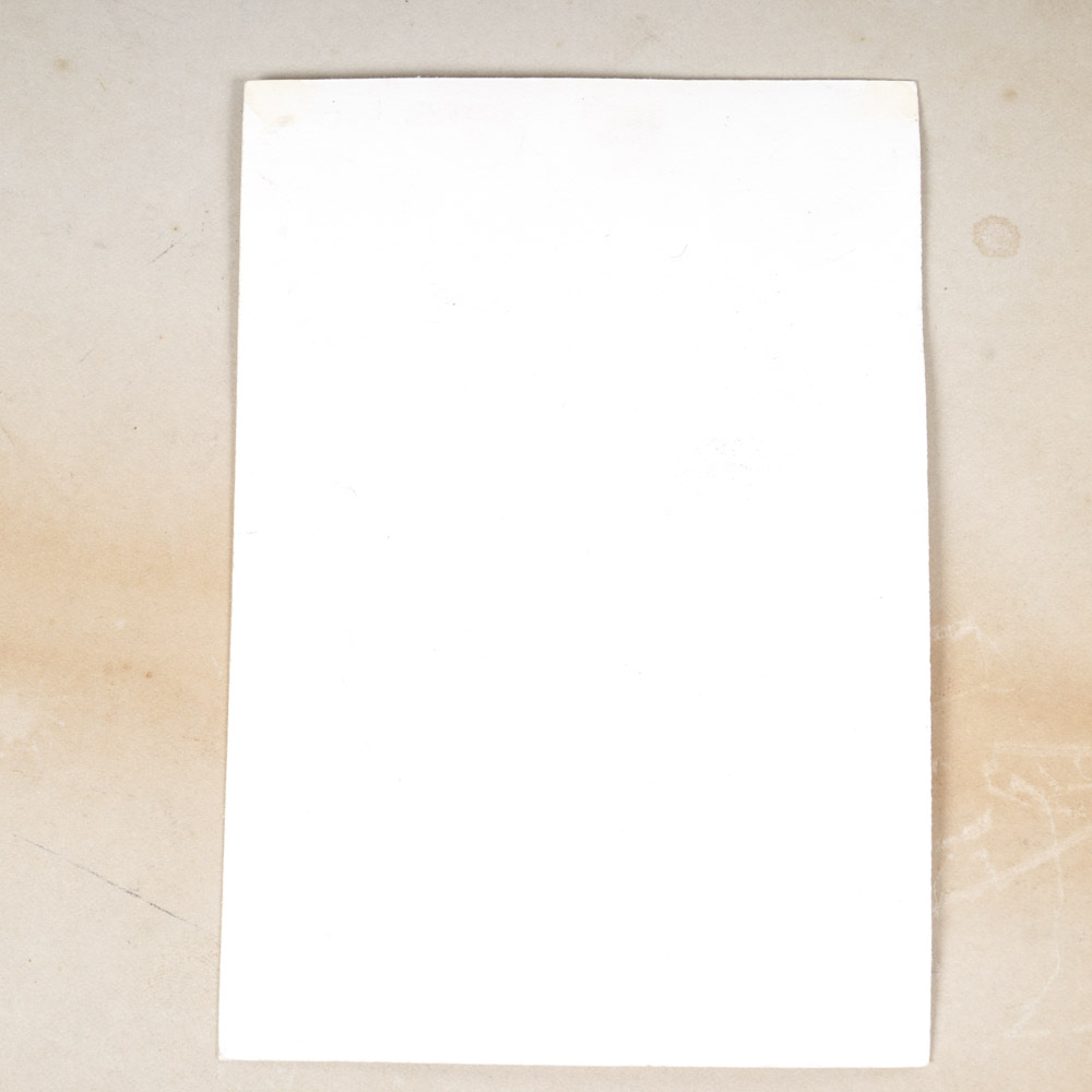 Selection of Antique Sepia Tone Family Portraits