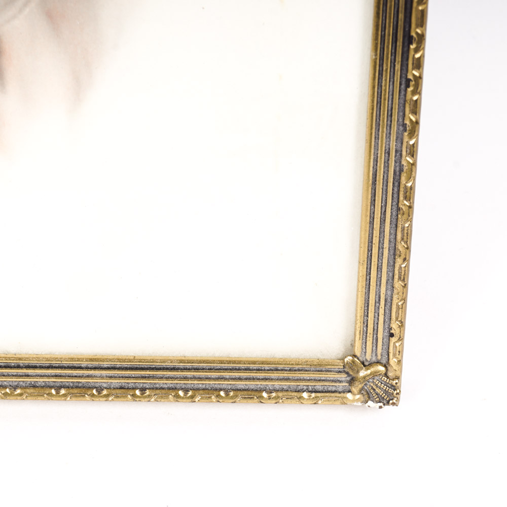 Selection of Antique Sepia Tone Family Portraits