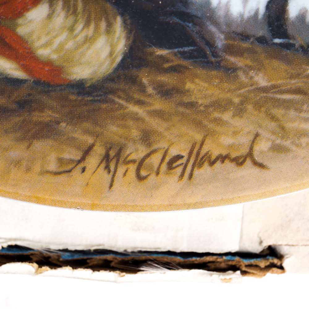 Decorative Plate Collection