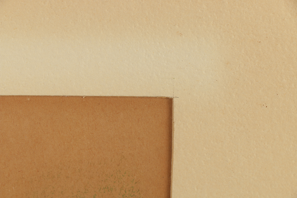 Pastel Portrait Drawing on Paper of a Woman