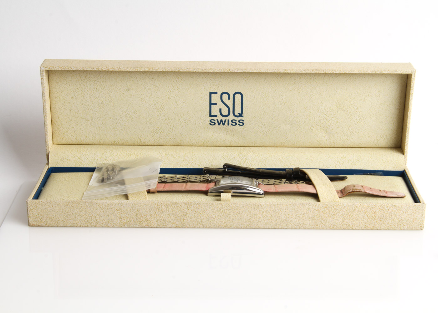 ESQ Stainless Steel Watch with Interchangeable Straps