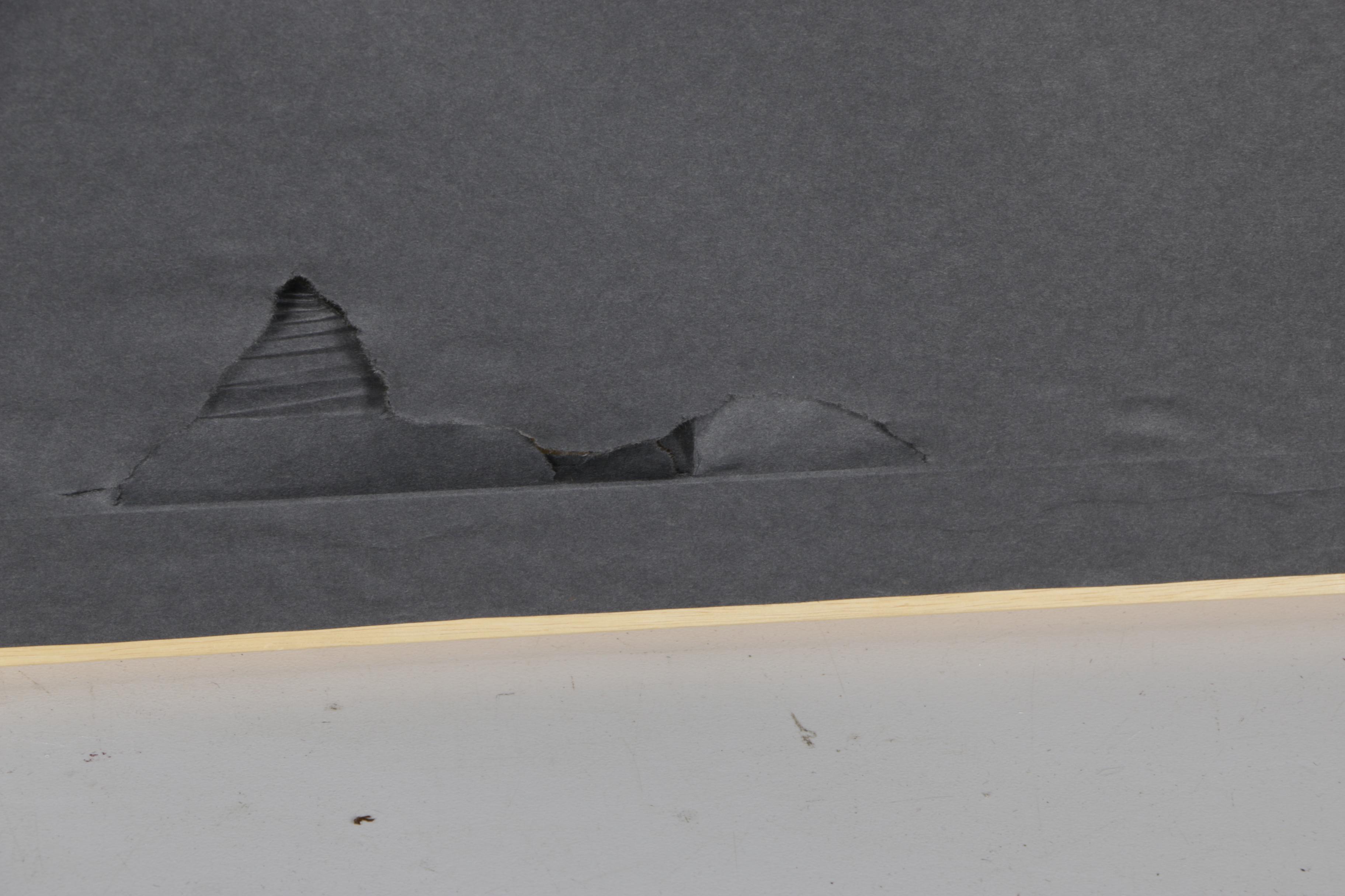 Pegge Hopper Limited Edition Serigraph "Untitled (Woman With Anthuriums)"