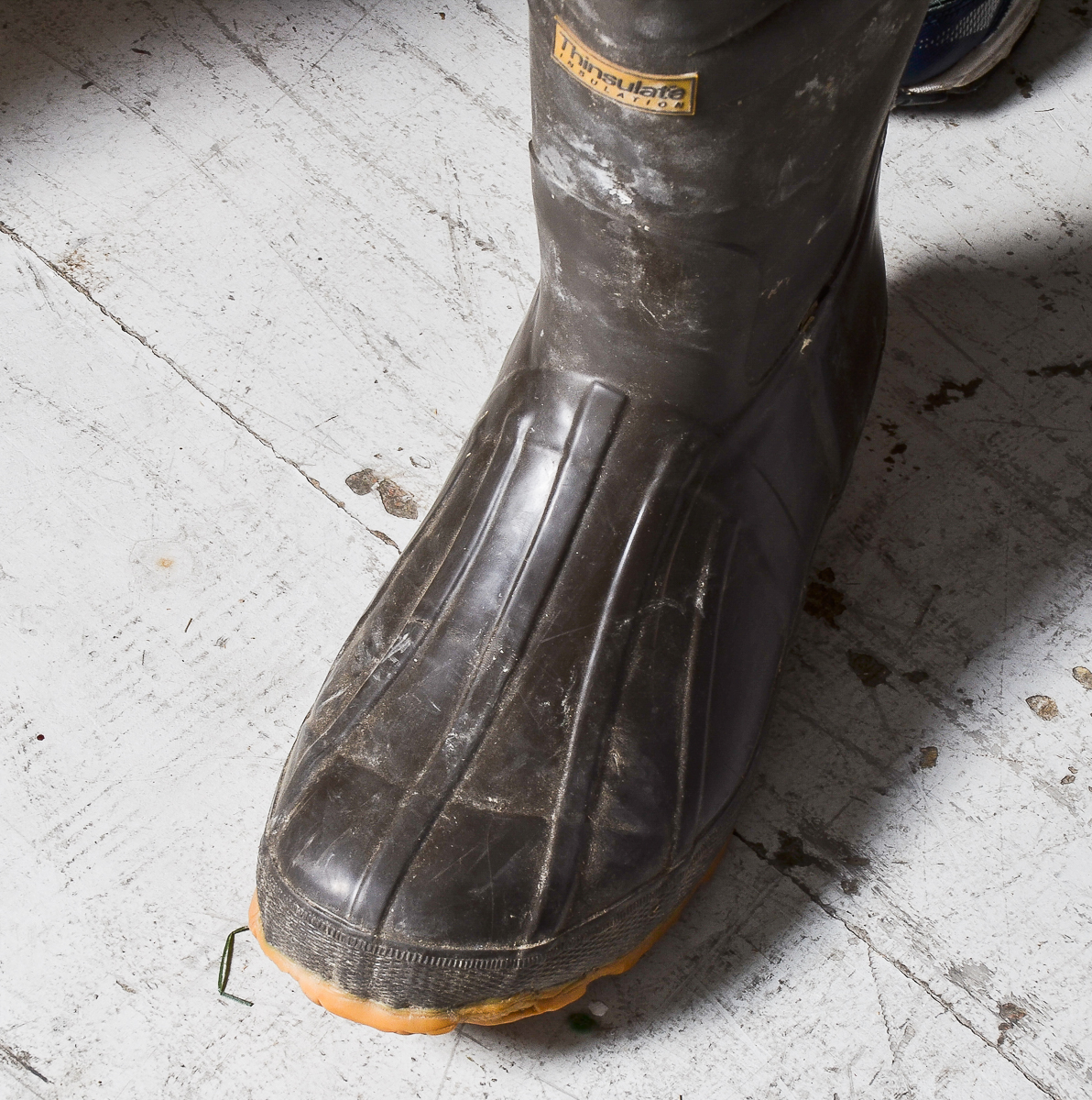 MEC  Shotshell Reloader and Hunting Gear