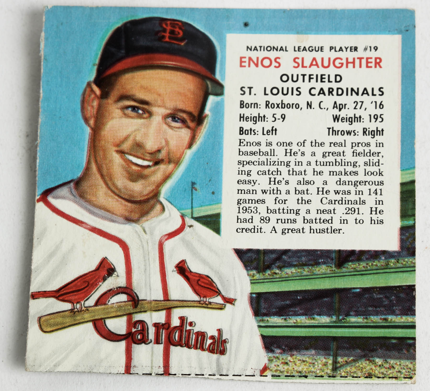 1950s Red Man Chewing Tobacco Baseball Card Box Cuts