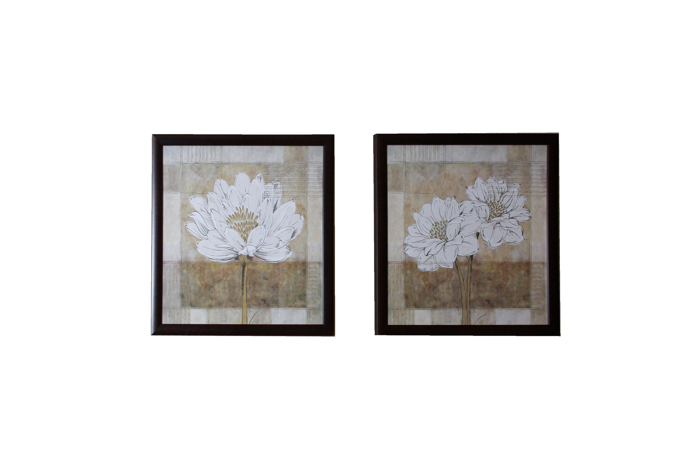 Pair of Decorative Floral Prints