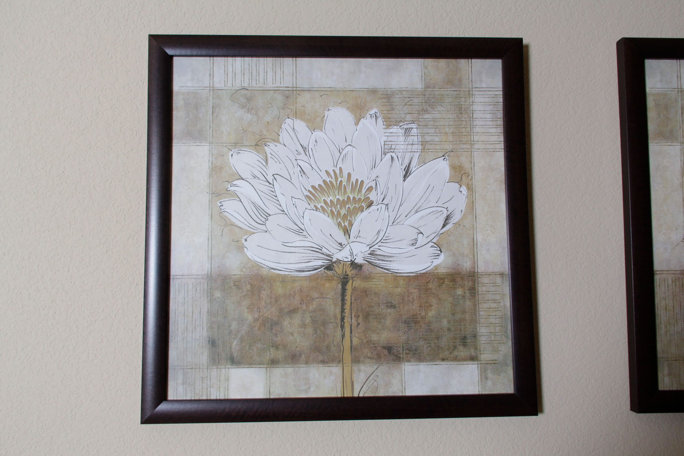 Pair of Decorative Floral Prints