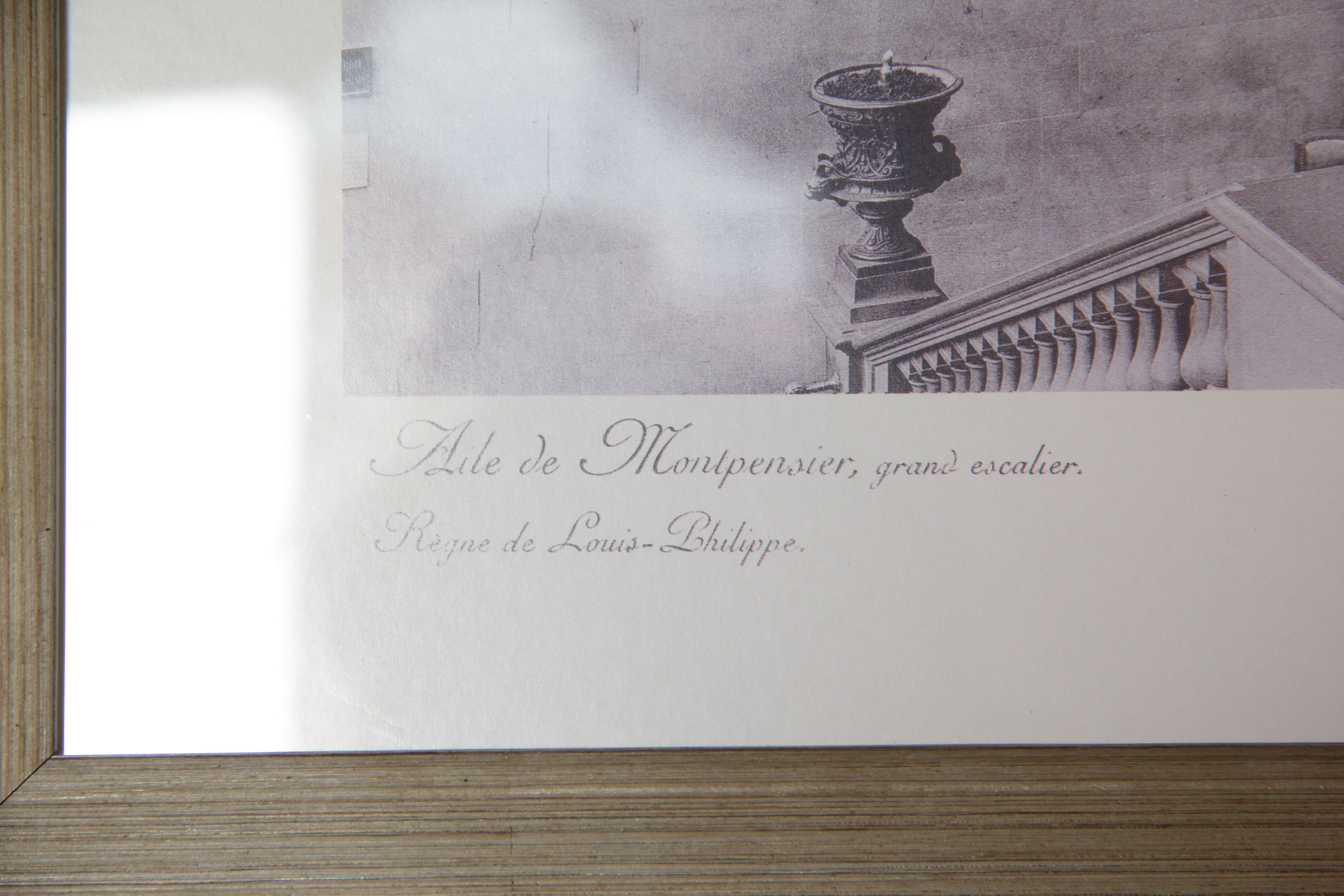 Collection of Le Palais- Royal Black and White Photographic Prints