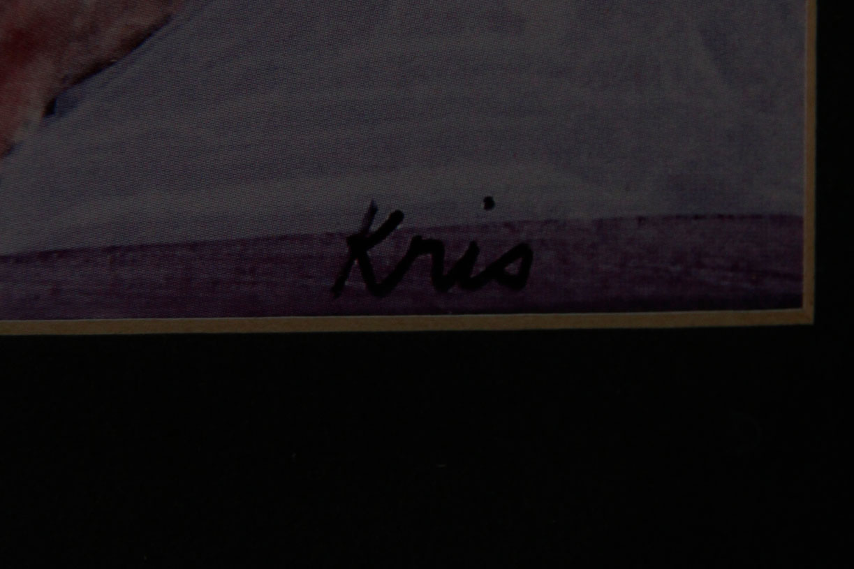 Pair of Decorative Floral Prints