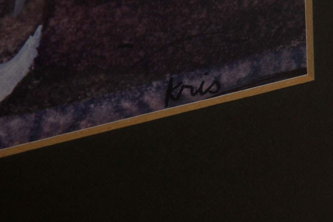 Pair of Decorative Floral Prints