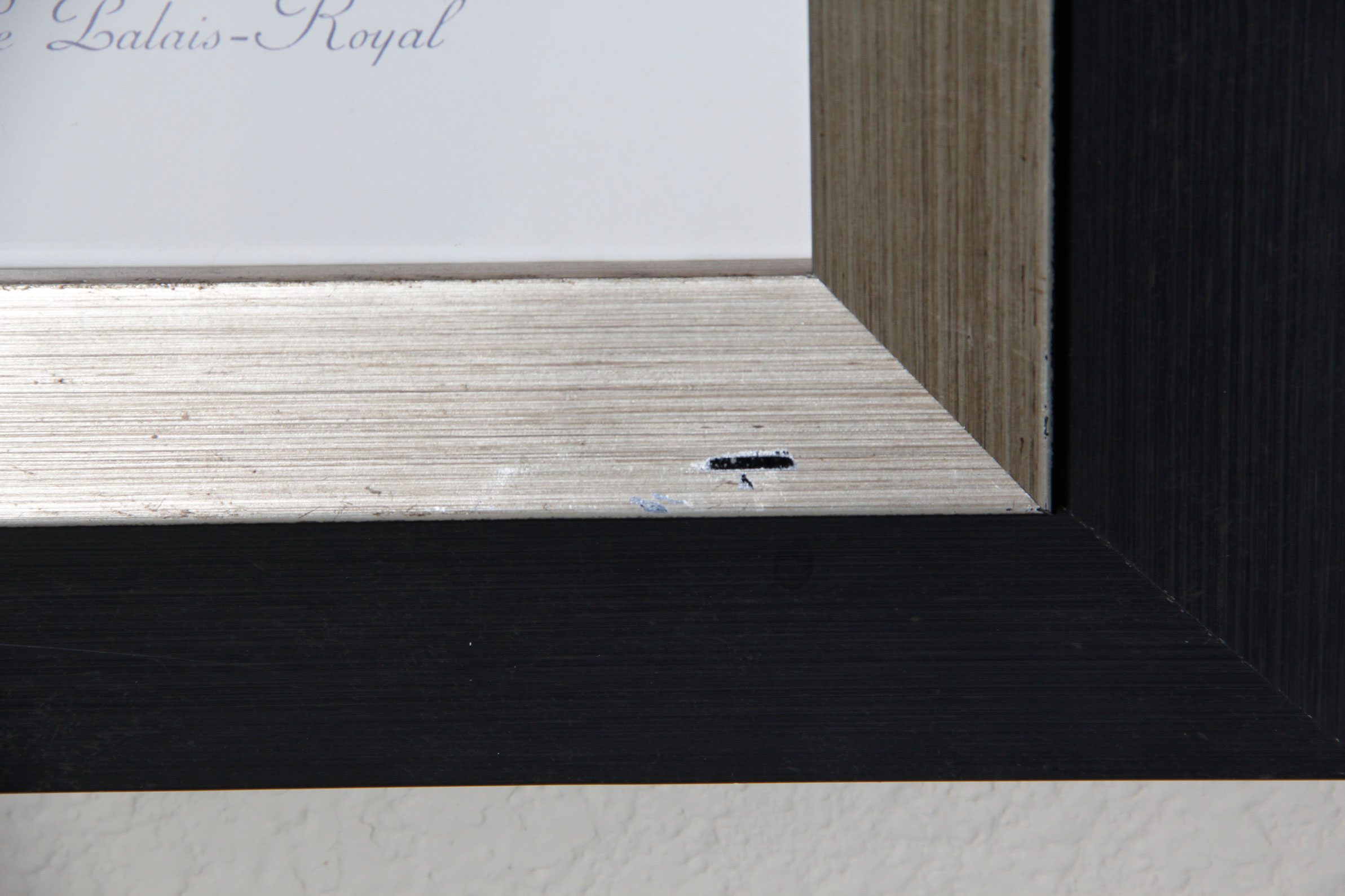 Collection of Le Palais- Royal Black and White Photographic Prints