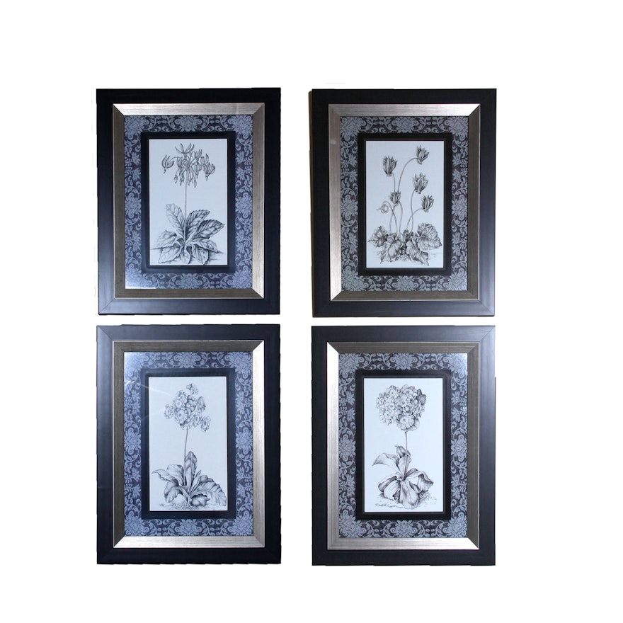 Set of Four Black and White Botanical Lithographs