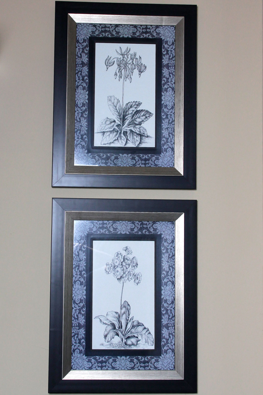Set of Four Black and White Botanical Lithographs