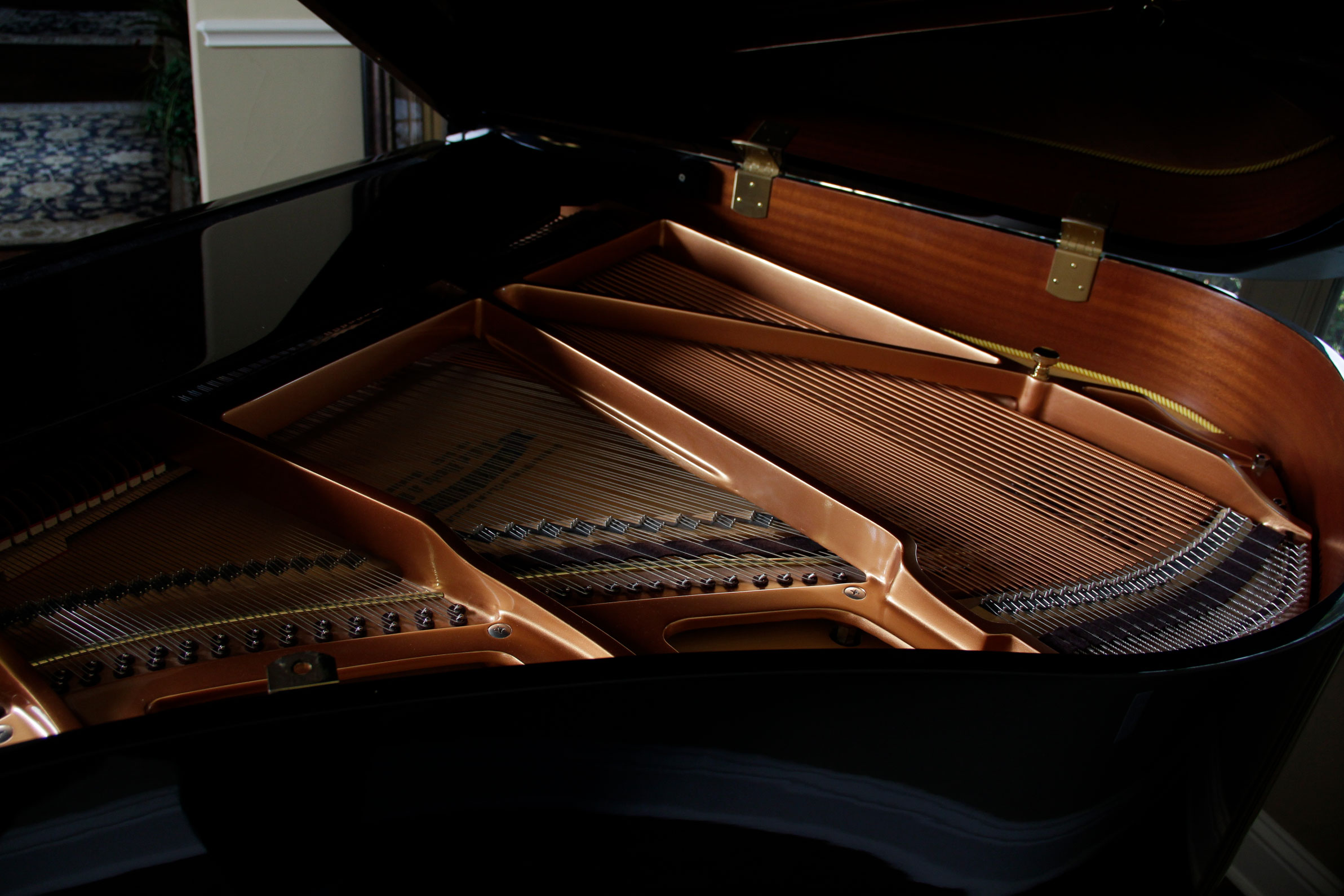 Hallet, Davis & Co. Baby Grand Piano