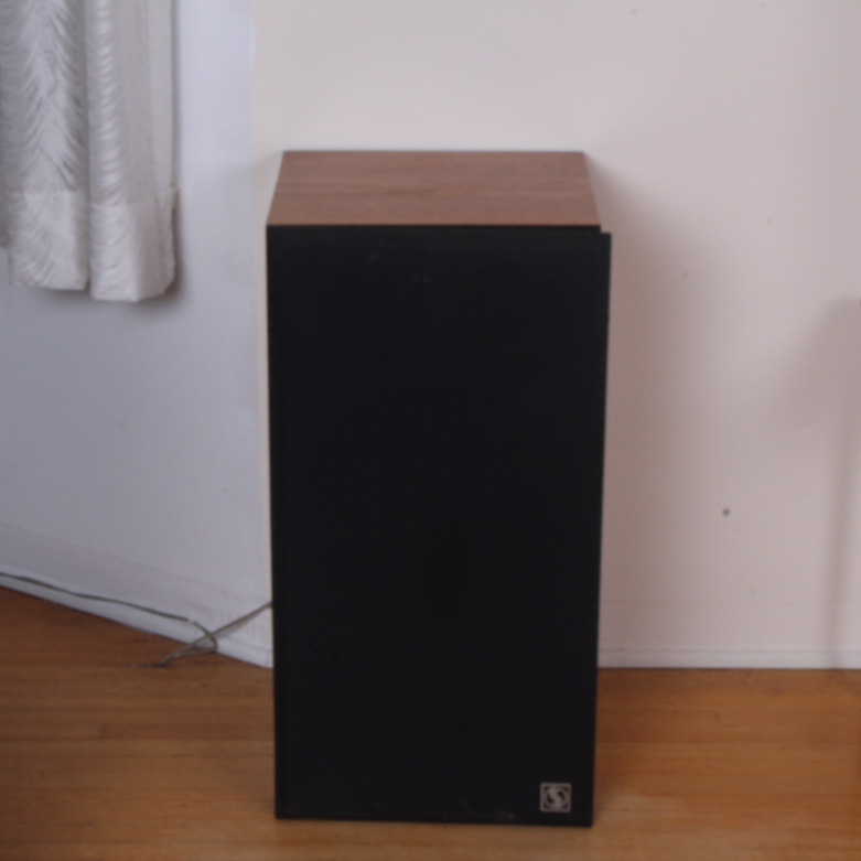 Pair of Wood Case Floor Speakers