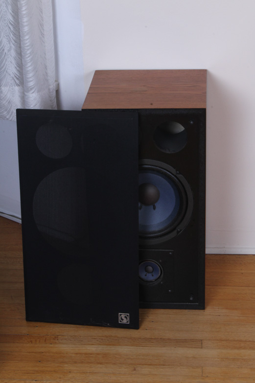 Pair of Wood Case Floor Speakers
