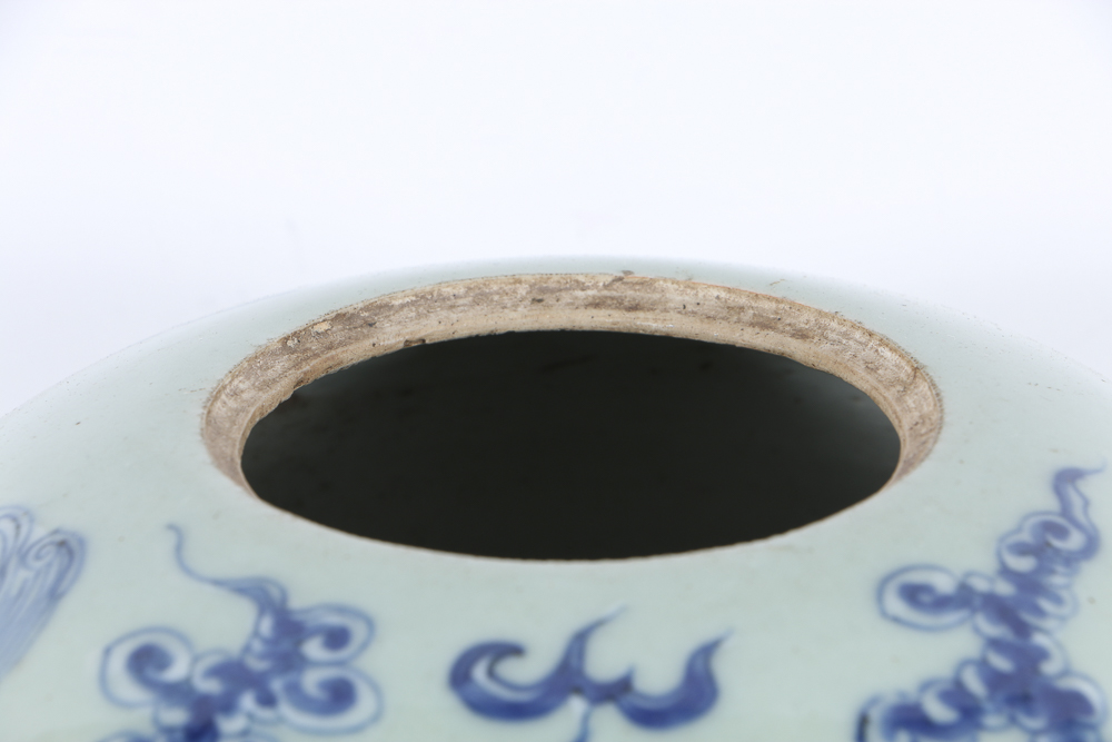 19th Century Blue and White Chinese Ginger Jar with Lions