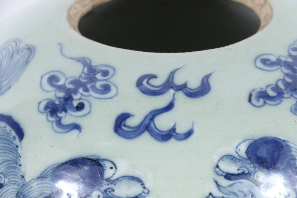 19th Century Blue and White Chinese Ginger Jar with Lions