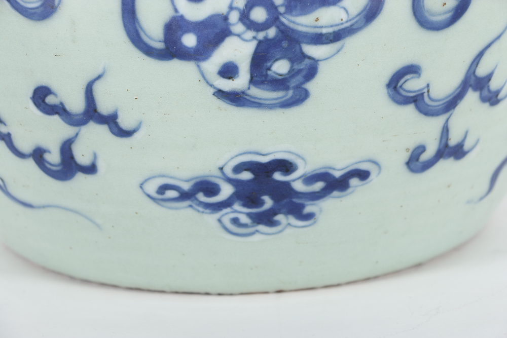 19th Century Blue and White Chinese Ginger Jar with Lions